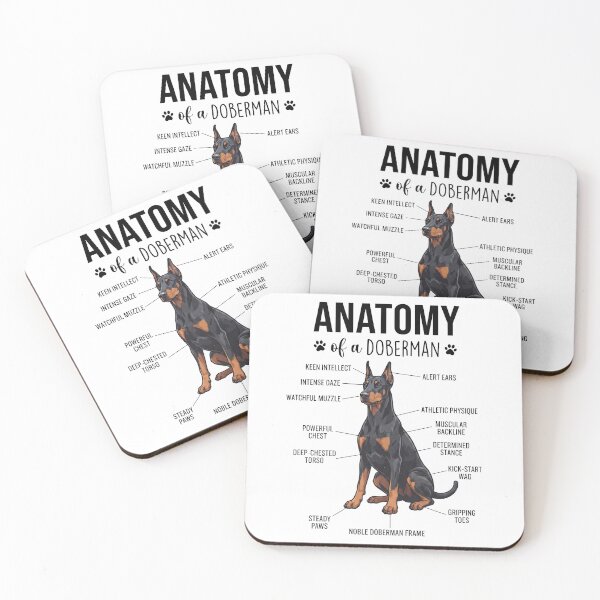Item preview, Doberman Pinscher Anatomy Dog Lover designed and sold by dian-rody-crest.