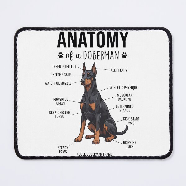 Item preview, Doberman Pinscher Anatomy Dog Lover designed and sold by dian-rody-crest.