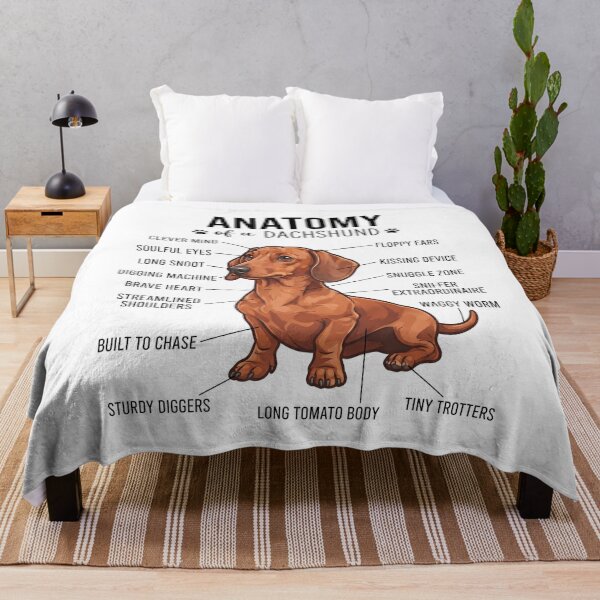 Item preview, Dachshund Anatomy Dog Lover designed and sold by dian-rody-crest.