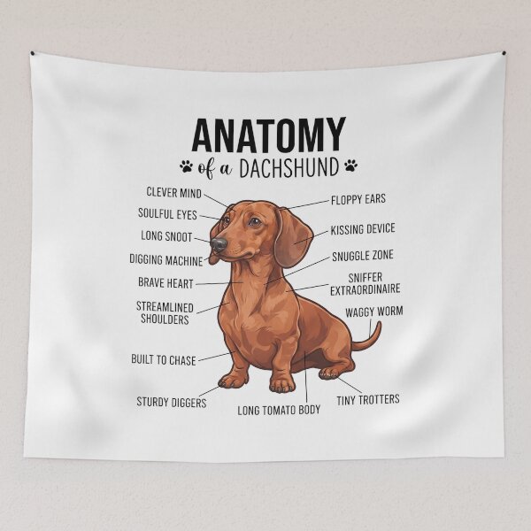 Item preview, Dachshund Anatomy Dog Lover designed and sold by dian-rody-crest.