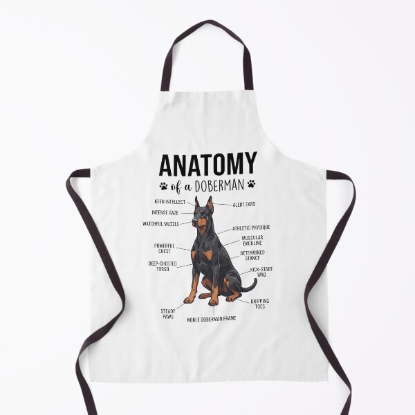 Item preview, Doberman Pinscher Anatomy Dog Lover designed and sold by dian-rody-crest.