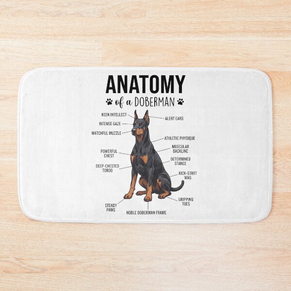 Item preview, Doberman Pinscher Anatomy Dog Lover designed and sold by dian-rody-crest.