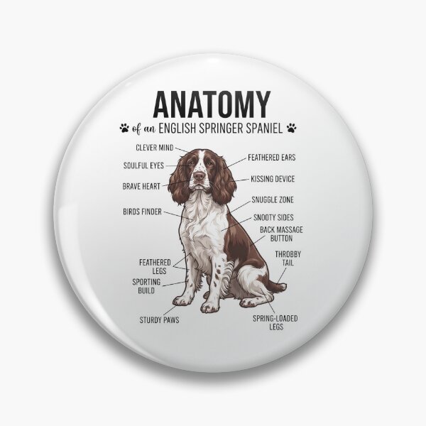 Artikelvorschau, Anatomie des Englischen Springer Spaniels – Hundeliebhaber entworfen und verkauft von dian-rody-crest.