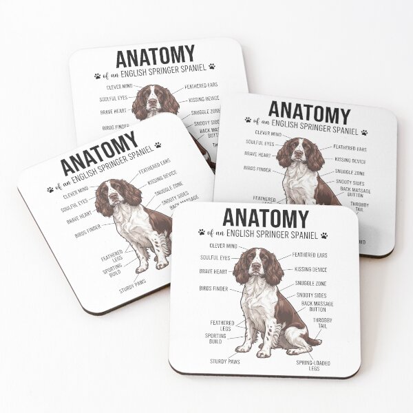 Item preview, English Springer Spaniel Anatomy Dog Lover designed and sold by dian-rody-crest.