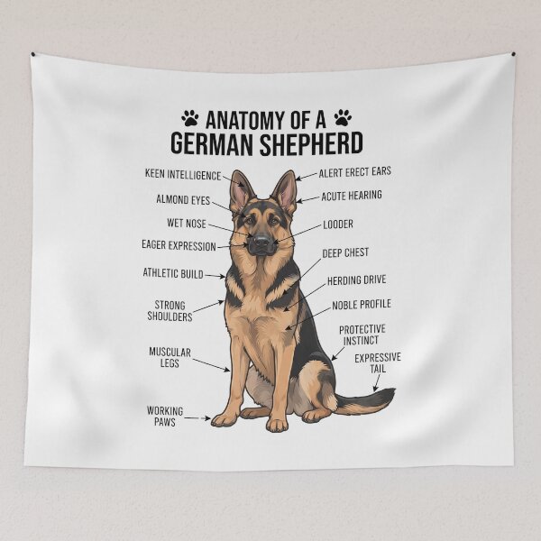 Item preview, German Shepherd Anatomy Dog Lover designed and sold by dian-rody-crest.
