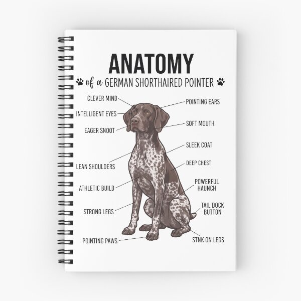 Item preview, German Shorthaired Pointer Anatomy Dog Lover designed and sold by dian-rody-crest.