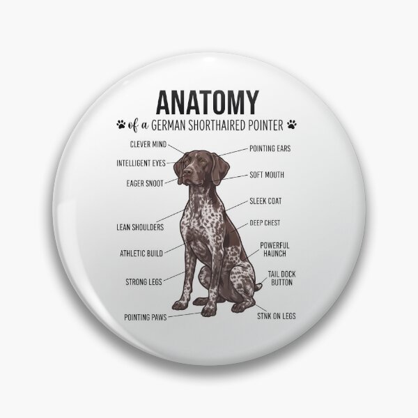 Item preview, German Shorthaired Pointer Anatomy Dog Lover designed and sold by dian-rody-crest.