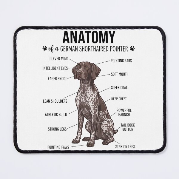 Item preview, German Shorthaired Pointer Anatomy Dog Lover designed and sold by dian-rody-crest.