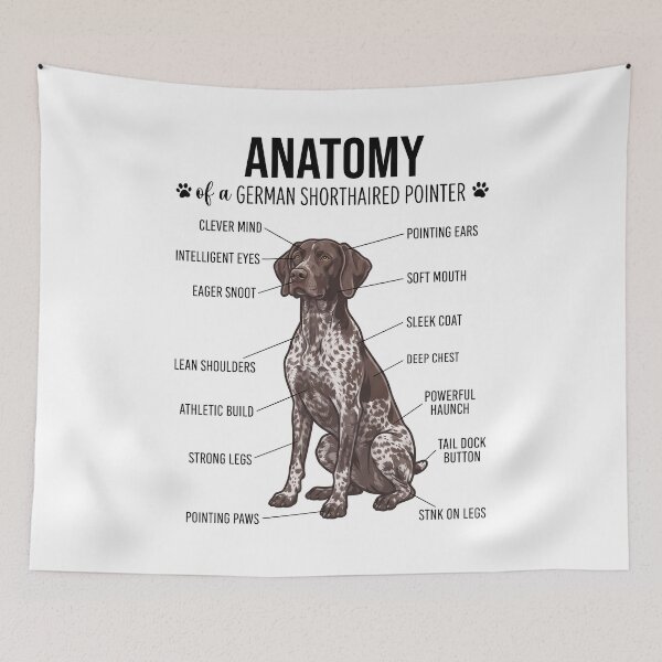 Item preview, German Shorthaired Pointer Anatomy Dog Lover designed and sold by dian-rody-crest.
