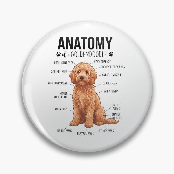 Item preview, Goldendoodle Anatomy Dog Lover designed and sold by dian-rody-crest.