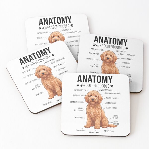 Item preview, Goldendoodle Anatomy Dog Lover designed and sold by dian-rody-crest.