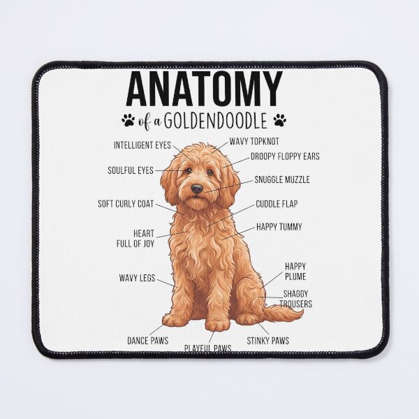Item preview, Goldendoodle Anatomy Dog Lover designed and sold by dian-rody-crest.