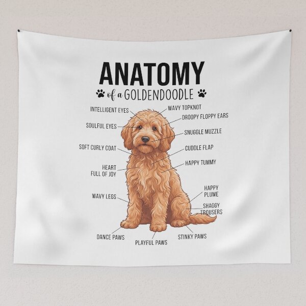 Item preview, Goldendoodle Anatomy Dog Lover designed and sold by dian-rody-crest.