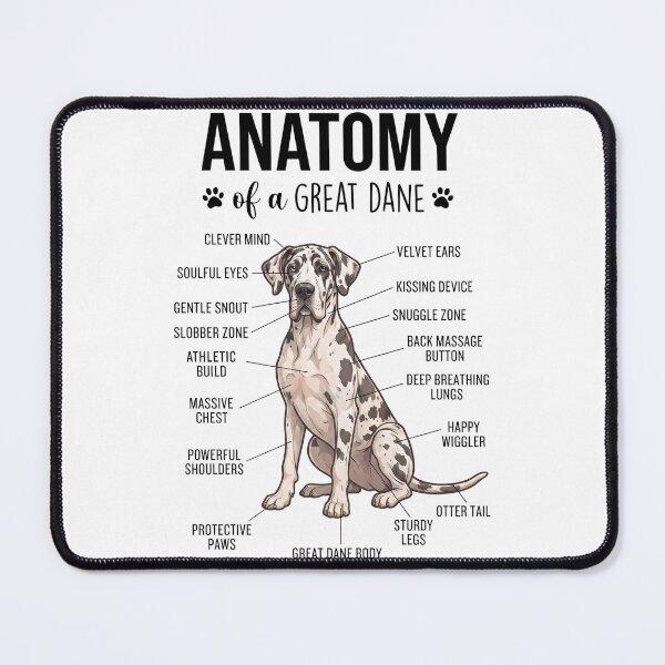 Item preview, Great Dane Anatomy Dog Lover designed and sold by dian-rody-crest.