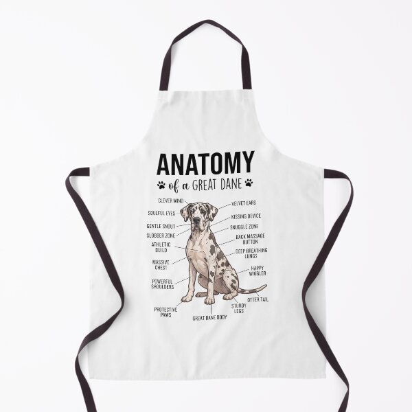 Aperçu de l'œuvre Anatomie du Grand Danois - Passionné de chiens créée et vendue par dian-rody-crest.