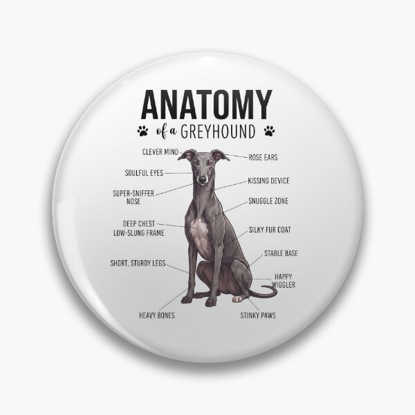 Item preview, Greyhound Anatomy Dog Lover designed and sold by dian-rody-crest.