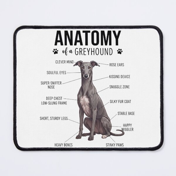 Item preview, Greyhound Anatomy Dog Lover designed and sold by dian-rody-crest.