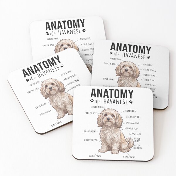Item preview, Havanese Anatomy Dog Lover designed and sold by dian-rody-crest.