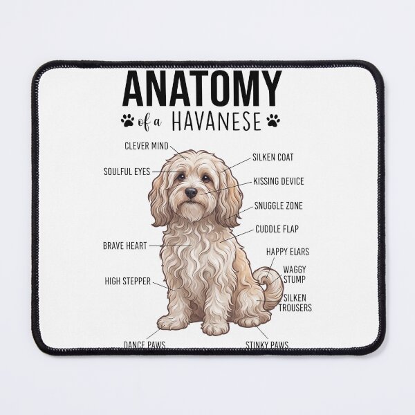 Item preview, Havanese Anatomy Dog Lover designed and sold by dian-rody-crest.