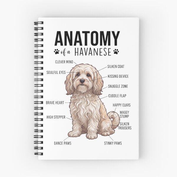 Item preview, Havanese Anatomy Dog Lover designed and sold by dian-rody-crest.
