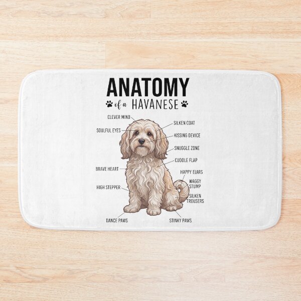 Item preview, Havanese Anatomy Dog Lover designed and sold by dian-rody-crest.