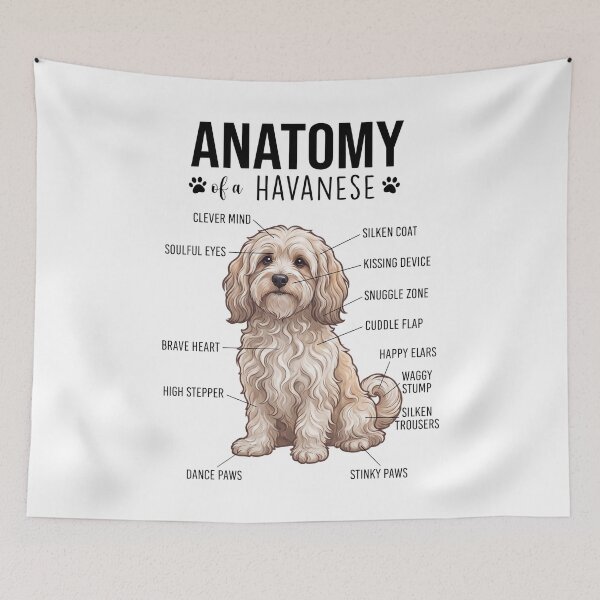 Item preview, Havanese Anatomy Dog Lover designed and sold by dian-rody-crest.