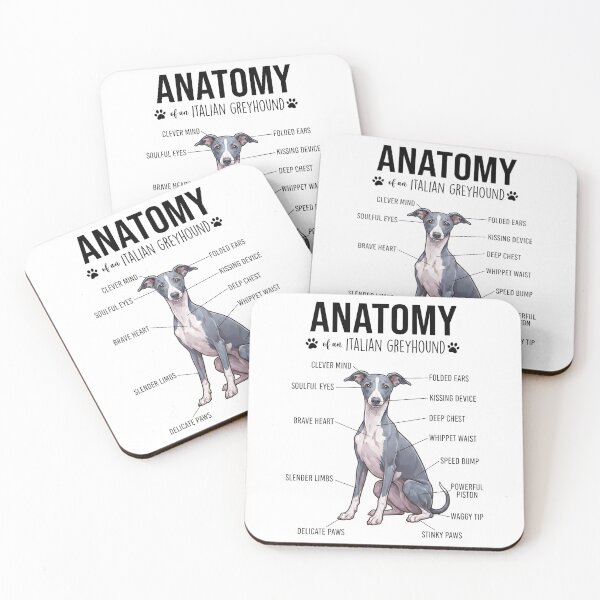 Item preview, Italian Greyhound Anatomy Dog Lover designed and sold by dian-rody-crest.