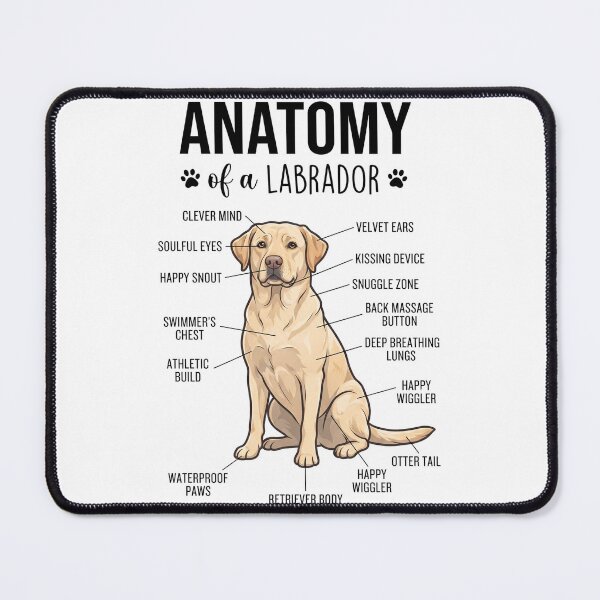 Item preview, Labrador Retriever Anatomy Dog Lover designed and sold by dian-rody-crest.