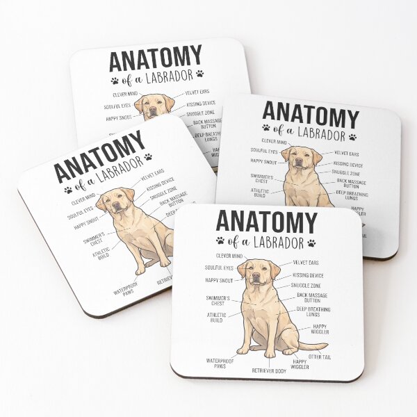 Item preview, Labrador Retriever Anatomy Dog Lover designed and sold by dian-rody-crest.