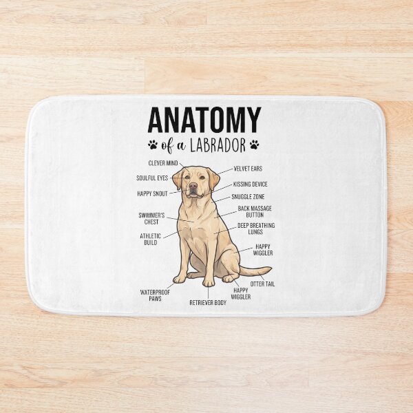 Artikelvorschau, Labrador Retriever Anatomie Hundeliebhaber entworfen und verkauft von dian-rody-crest.