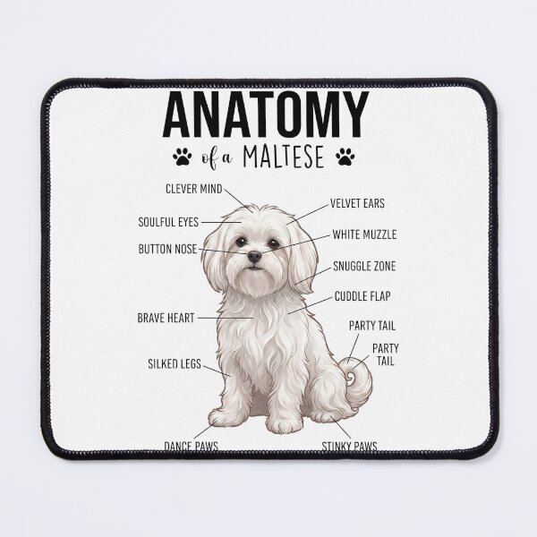 Item preview, Maltese Anatomy Dog Lover designed and sold by dian-rody-crest.
