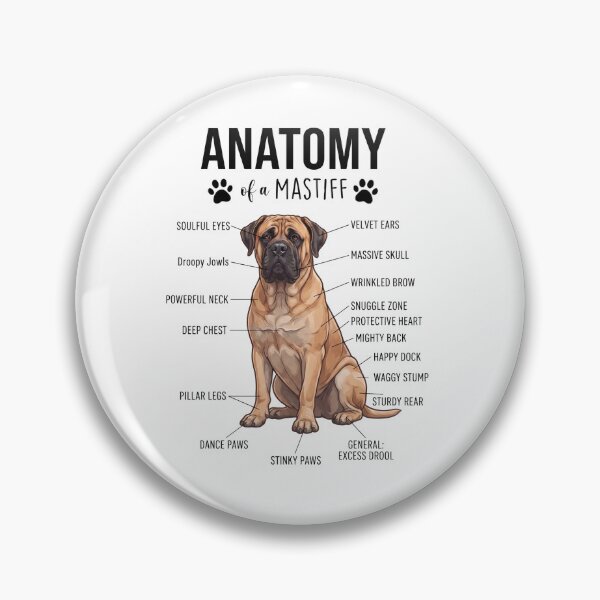 Item preview, Mastiff Anatomy Dog Lover designed and sold by dian-rody-crest.