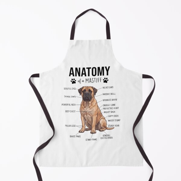 Aperçu de l'œuvre Anatomie du Mastiff, amoureux des chiens créée et vendue par dian-rody-crest.