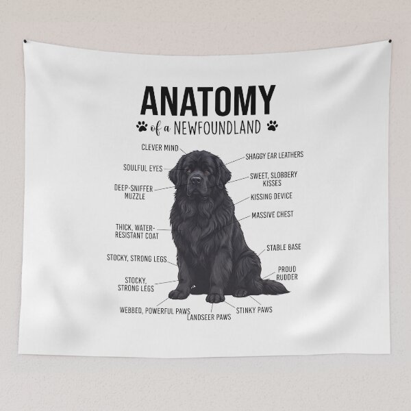 Item preview, Newfoundland Anatomy Dog Lover designed and sold by dian-rody-crest.