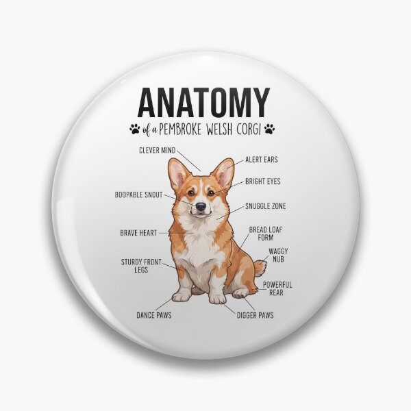 Item preview, Pembroke Welsh Corgi Anatomy Dog Lover designed and sold by dian-rody-crest.