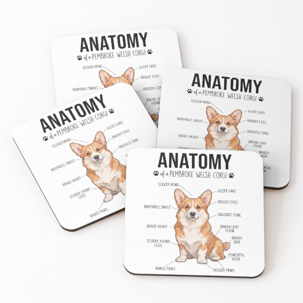 Item preview, Pembroke Welsh Corgi Anatomy Dog Lover designed and sold by dian-rody-crest.