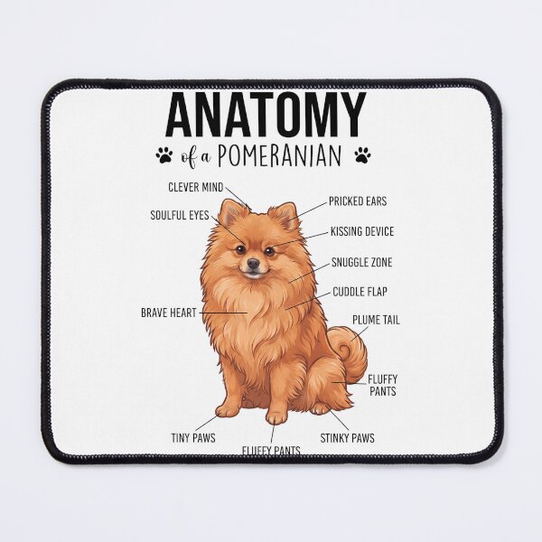 Item preview, Pomeranian Anatomy Dog Lover designed and sold by dian-rody-crest.