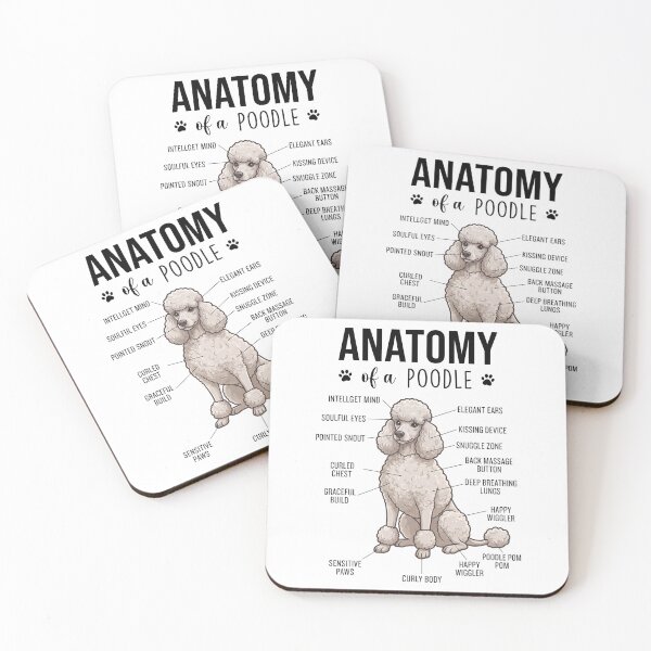 Item preview, Poodle Anatomy Dog Lover designed and sold by dian-rody-crest.