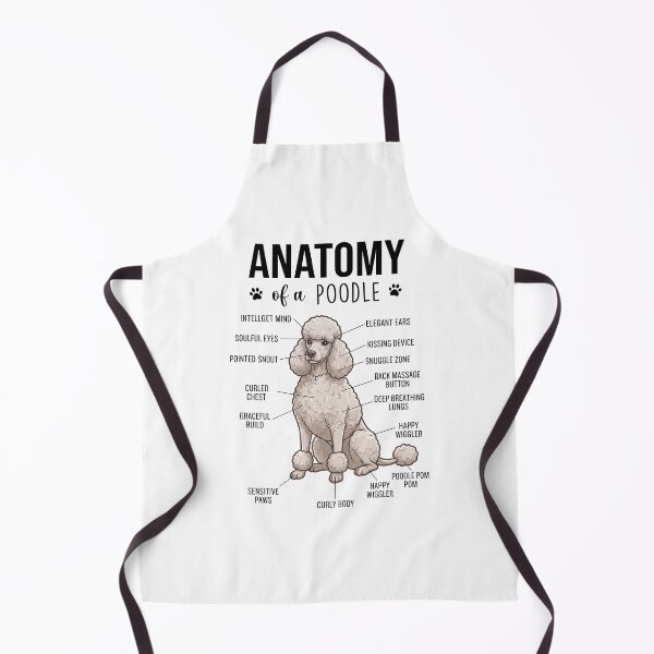 Item preview, Poodle Anatomy Dog Lover designed and sold by dian-rody-crest.