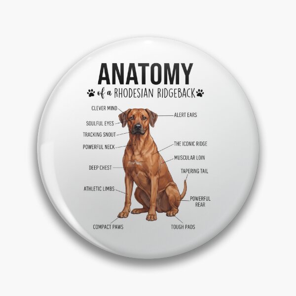 Item preview, Rhodesian Ridgeback Anatomy Dog Lover designed and sold by dian-rody-crest.
