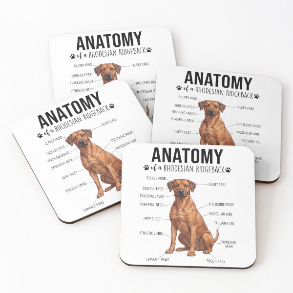 Item preview, Rhodesian Ridgeback Anatomy Dog Lover designed and sold by dian-rody-crest.