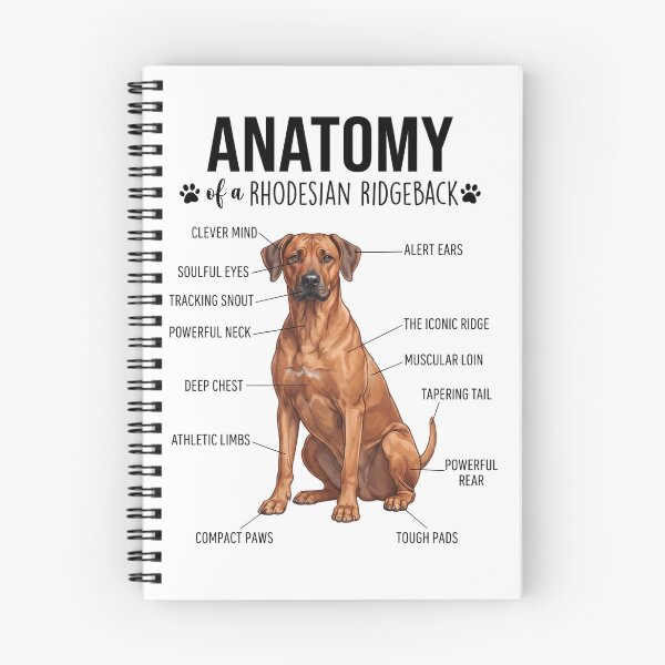 Artikelvorschau, Rhodesian Ridgeback Anatomie Hundeliebhaber entworfen und verkauft von dian-rody-crest.