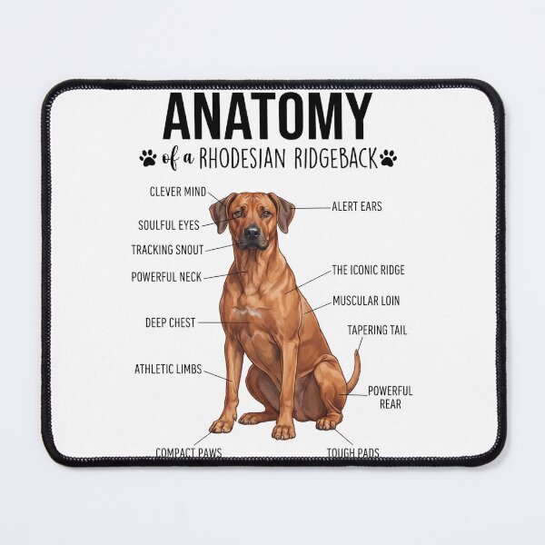 Item preview, Rhodesian Ridgeback Anatomy Dog Lover designed and sold by dian-rody-crest.
