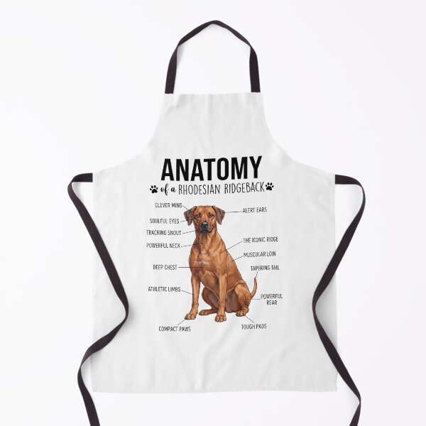 Item preview, Rhodesian Ridgeback Anatomy Dog Lover designed and sold by dian-rody-crest.