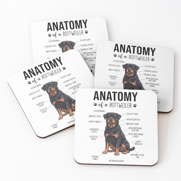 Item preview, Rottweiler Anatomy Dog Lover designed and sold by dian-rody-crest.
