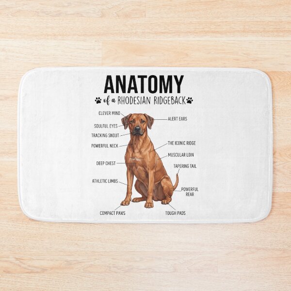 Item preview, Rhodesian Ridgeback Anatomy Dog Lover designed and sold by dian-rody-crest.