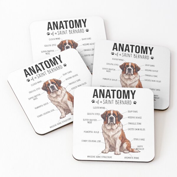 Item preview, Saint Bernard Anatomy Dog Lover designed and sold by dian-rody-crest.