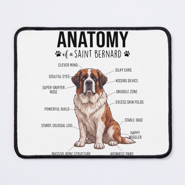 Item preview, Saint Bernard Anatomy Dog Lover designed and sold by dian-rody-crest.