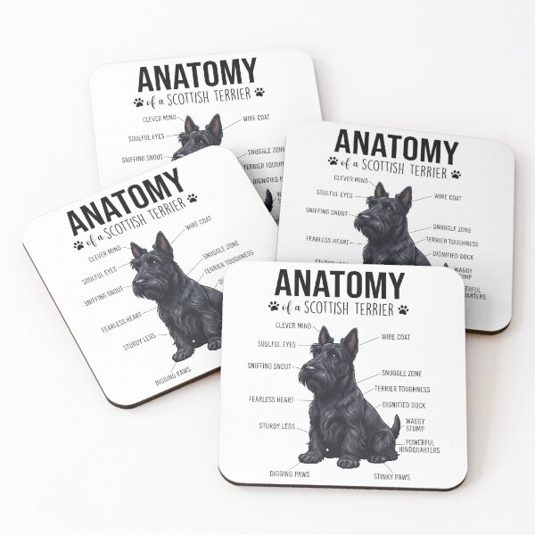Item preview, Scottish Terrier Anatomy Dog Lover designed and sold by dian-rody-crest.