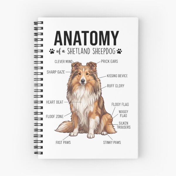 Item preview, Shetland Sheepdog Anatomy Dog Lover designed and sold by dian-rody-crest.